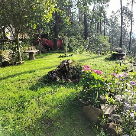 Le Jardin Almora Hotel Екстериор снимка
